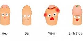 viem-bao-quy-dau-la-benh-gi