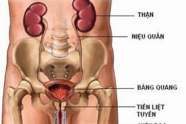 viem-duong-tiet-nieu-va-nhung-dieu-can-biet