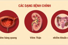 dau-hieu-nguyen-nhan-va-cach-phong-tranh-viem-duong-tiet-nieu