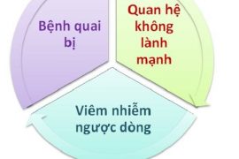 viem-tinh-hoan-va-nhung-bien-chung-tai-hai